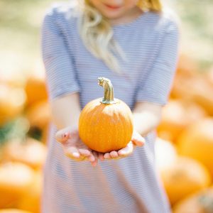 Elevae_23_0000003391