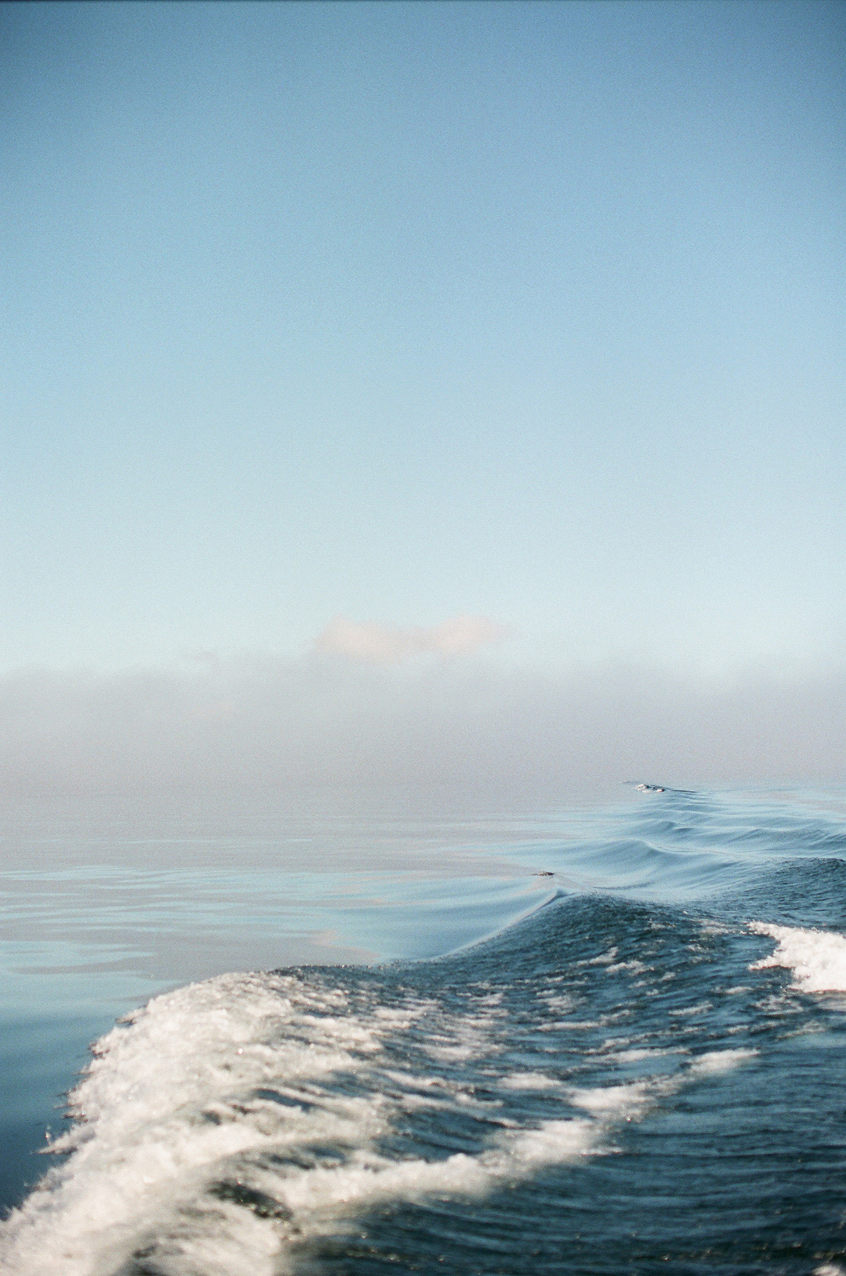 Elevae_23_0000003227