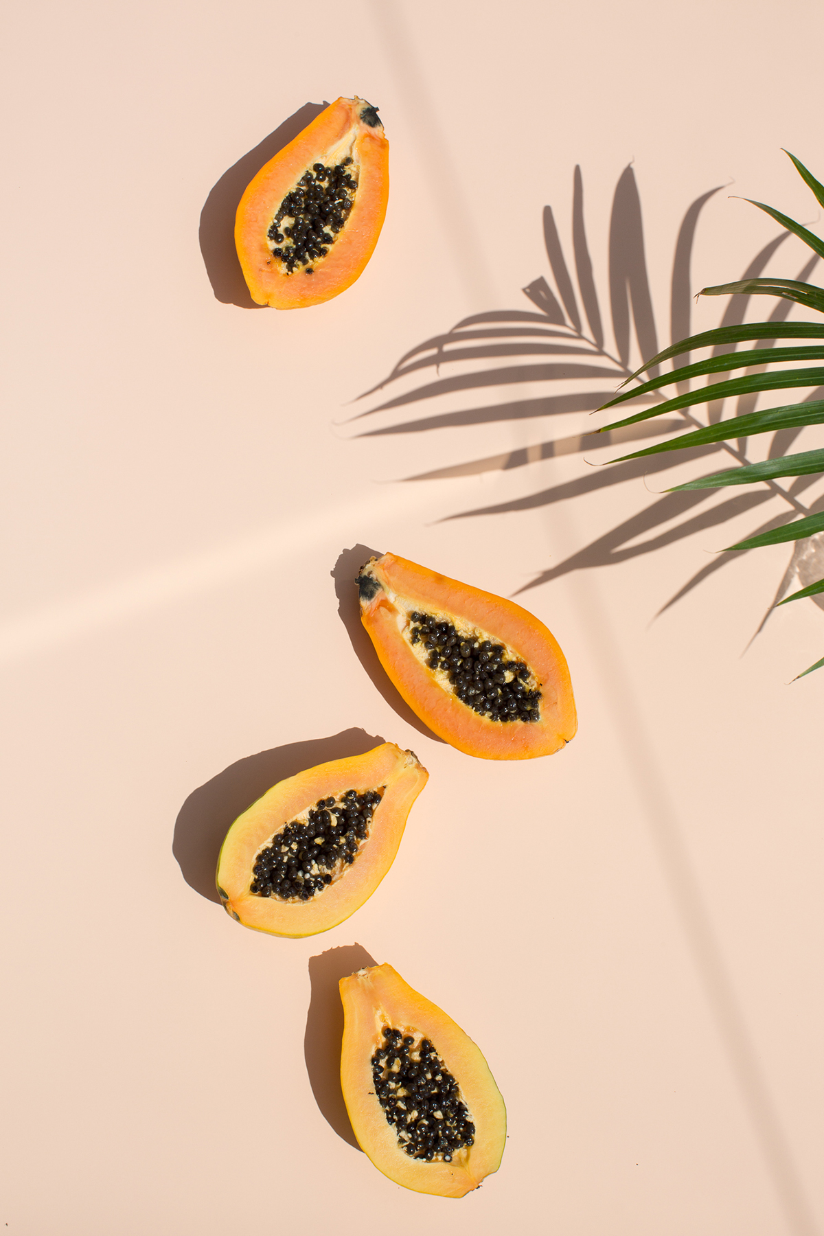 Elevae_23_0000003220