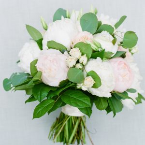 Elevae_23_0000003204