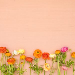 Elevae_23_0000003032