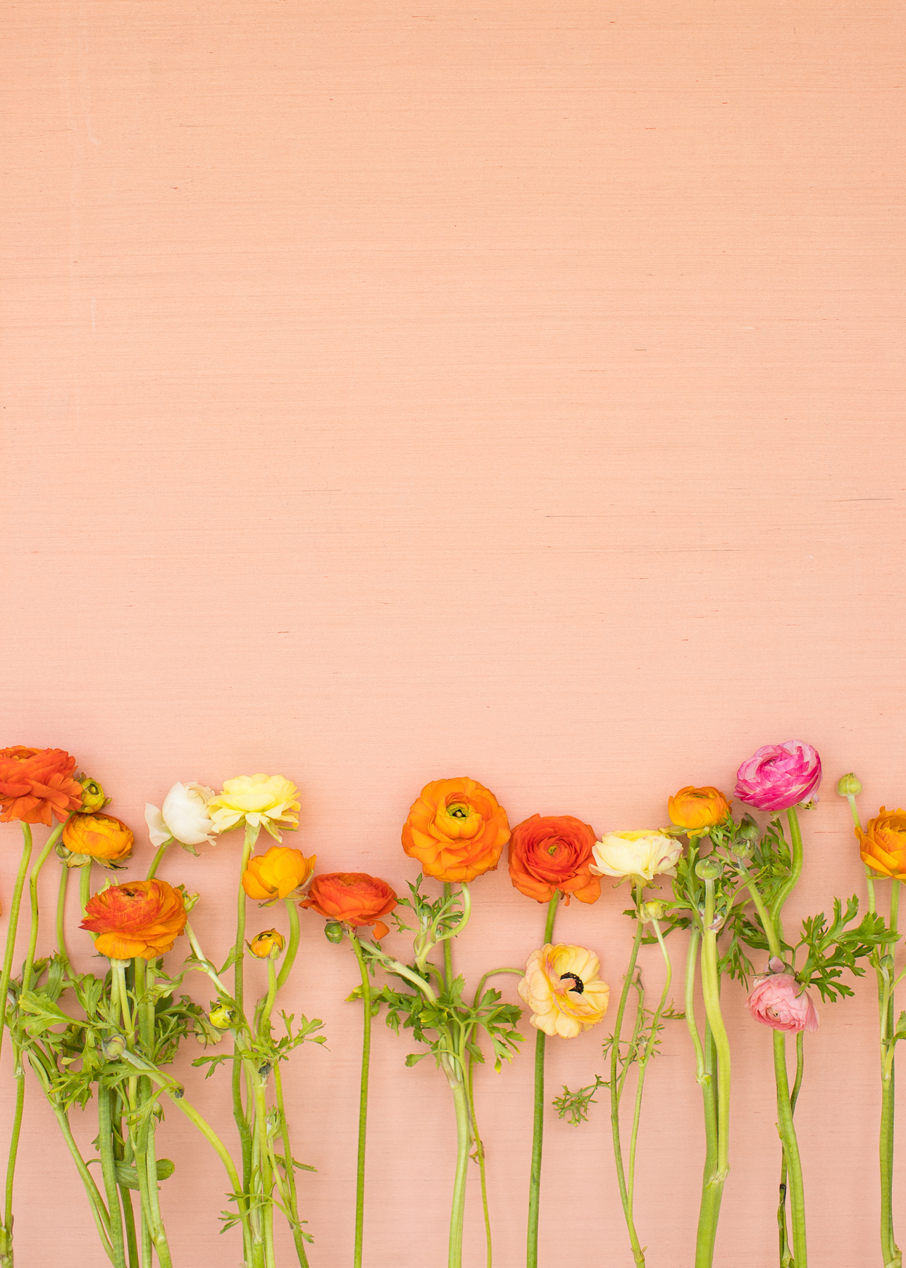 Elevae_23_0000003032