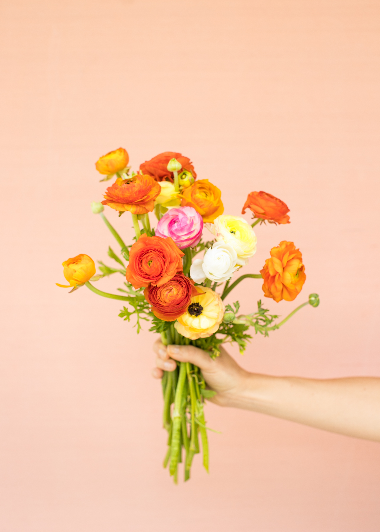 Elevae_23_0000003028
