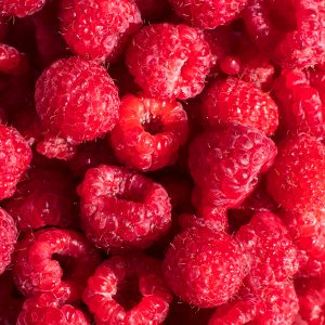 Elevae_23_0000002909