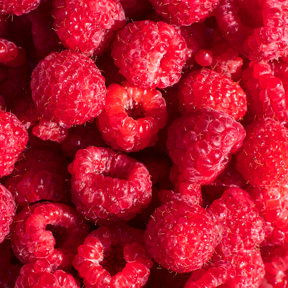 Elevae_23_0000002909