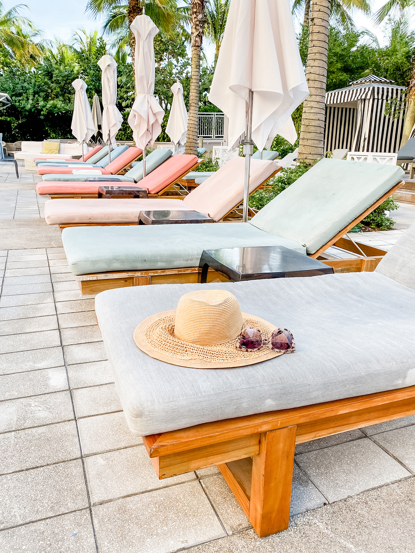 Elevae_23_0000002855