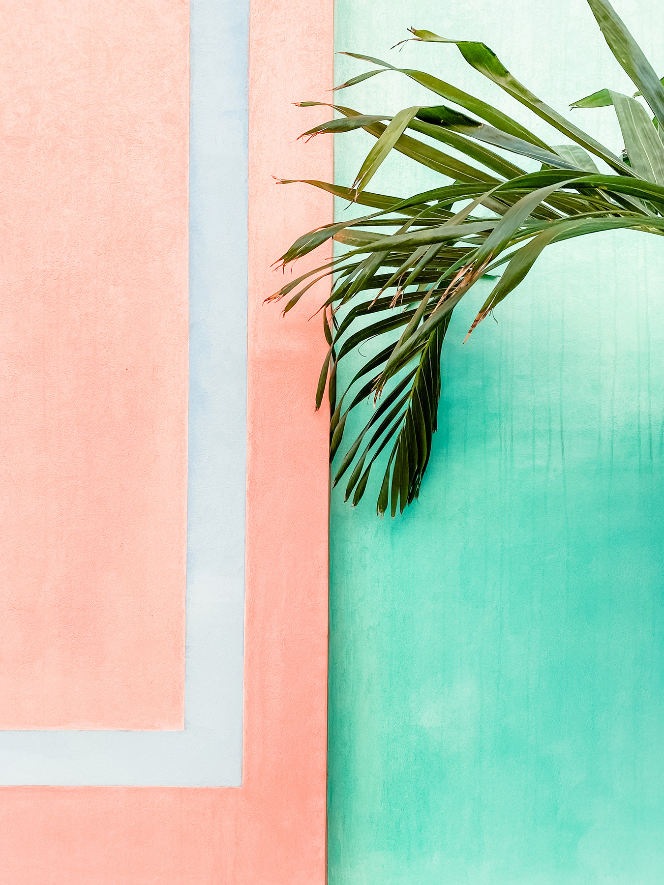 Elevae_23_0000002854