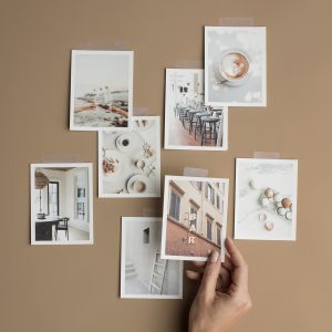 Elevae_23_0000002781