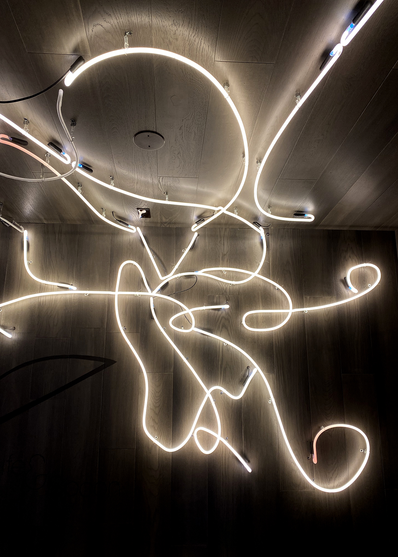 Elevae_23_0000002774