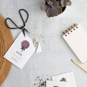 Elevae_23_0000002638