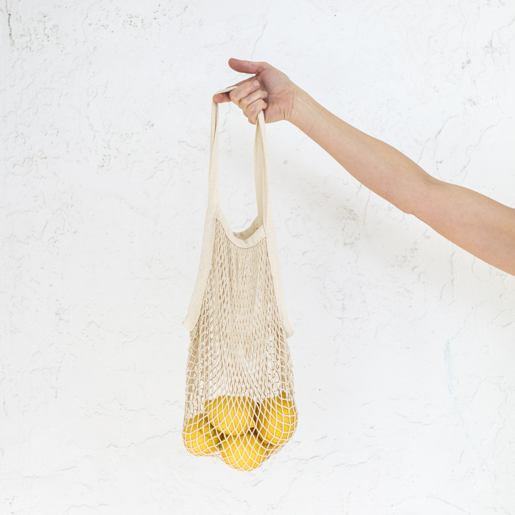 Elevae_23_0000002557