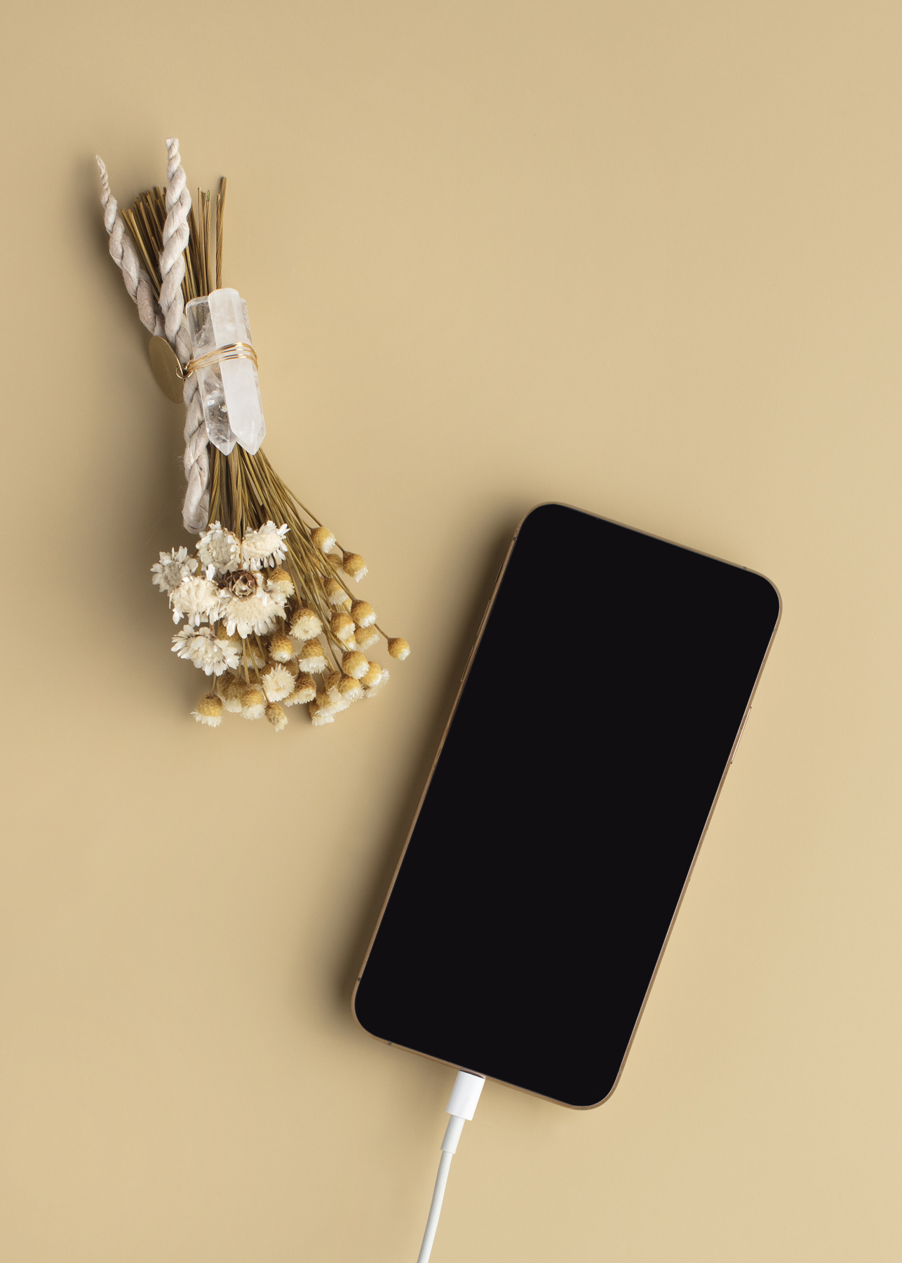 Elevae_23_0000002531