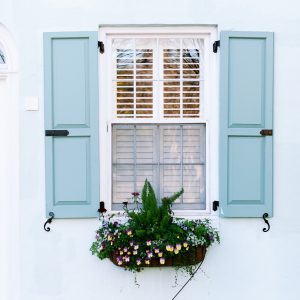 Elevae_23_0000002394