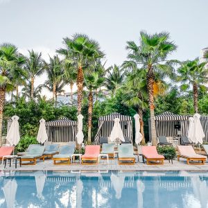 Elevae_23_0000002271