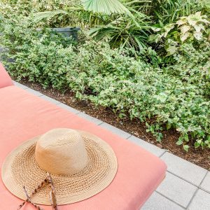 Elevae_23_0000002266