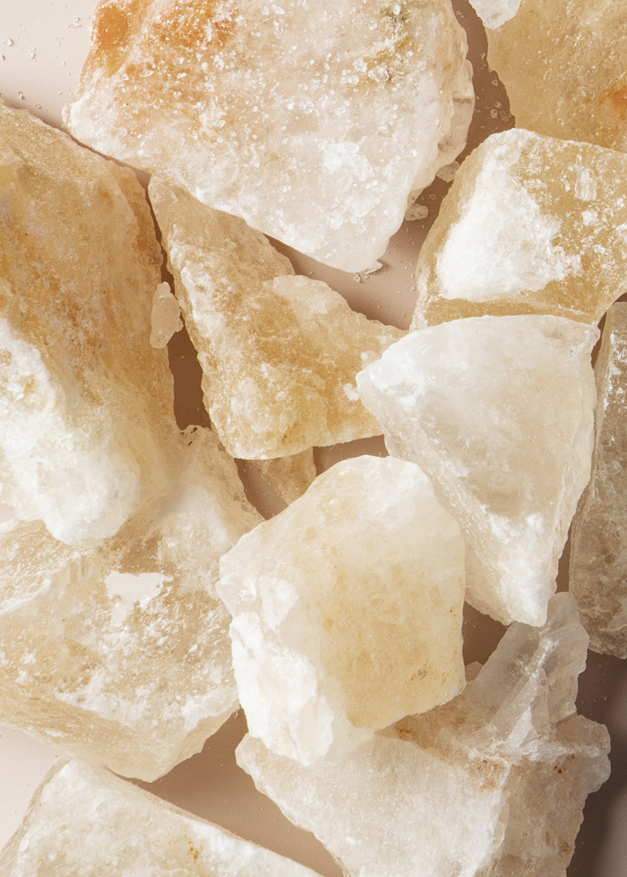 Elevae_23_0000002205