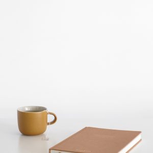 Elevae_23_0000002181