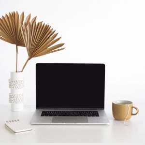 Elevae_23_0000002180