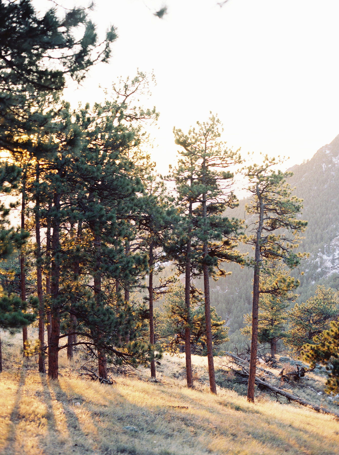 Elevae_23_0000002173