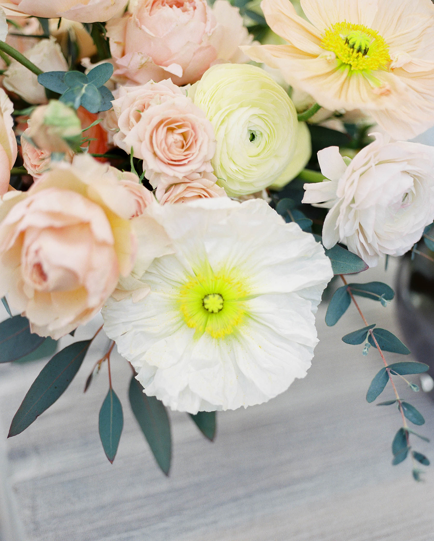 Elevae_23_0000002110