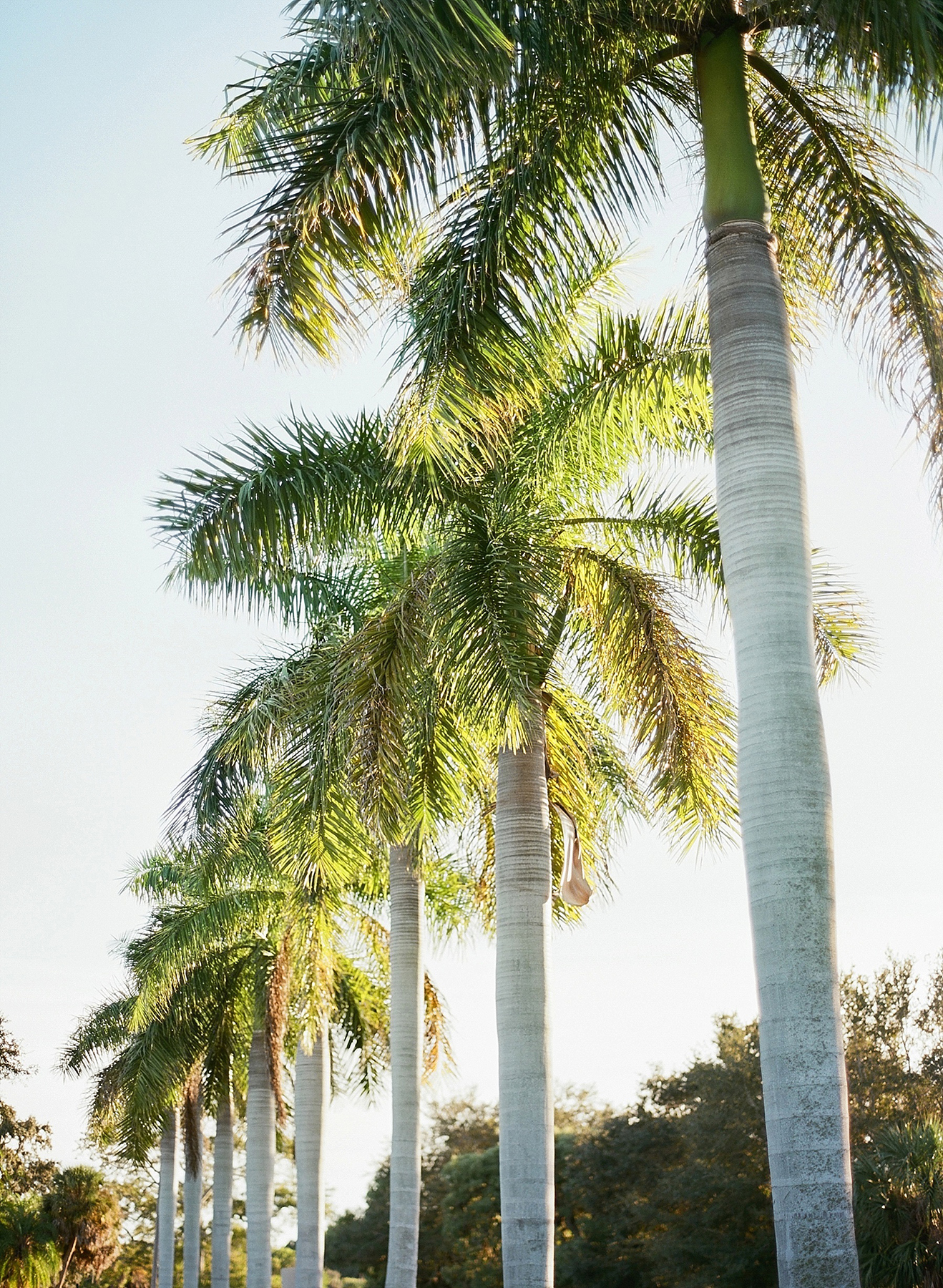 Elevae_23_0000002093