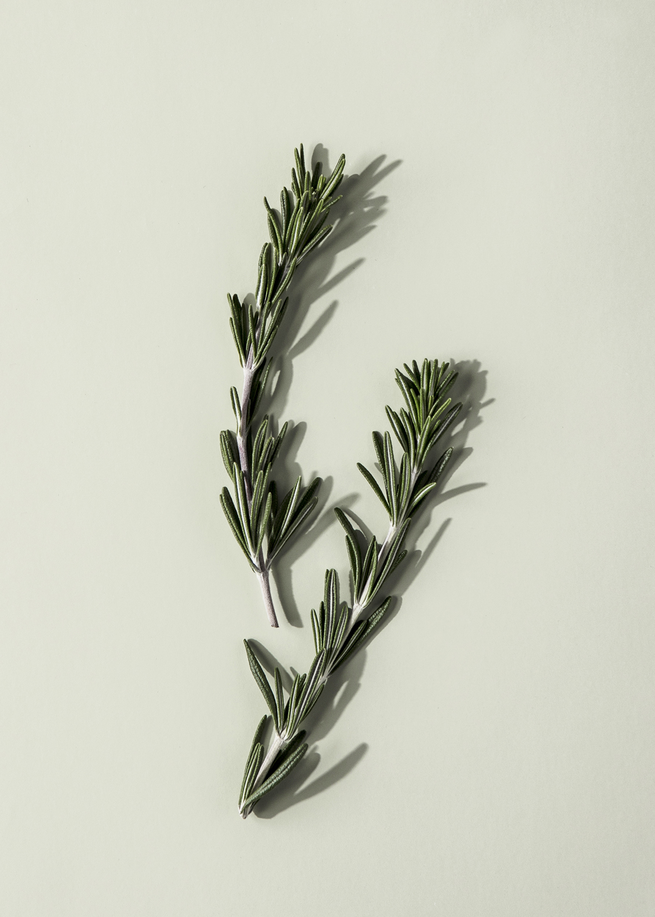 Elevae_23_0000002090