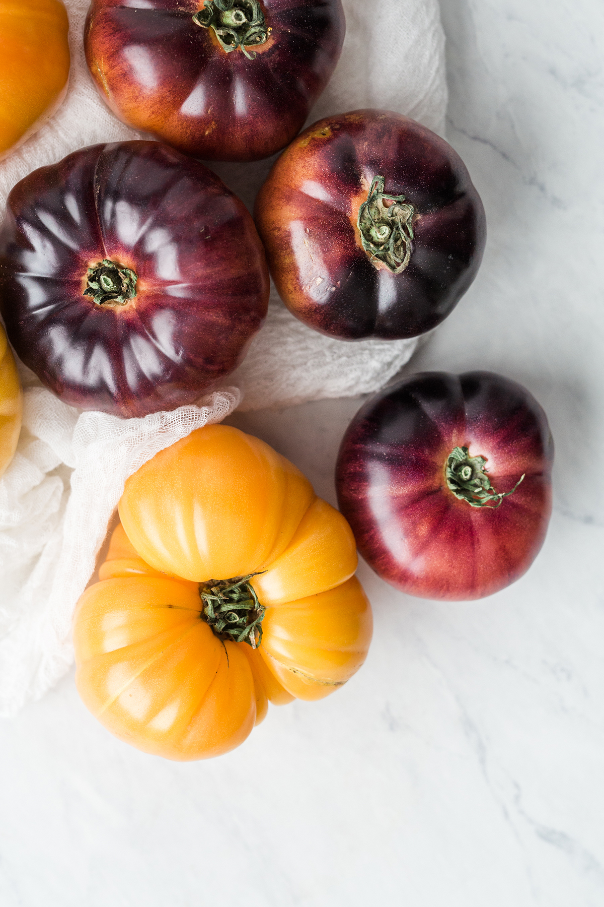 Elevae_23_0000002015