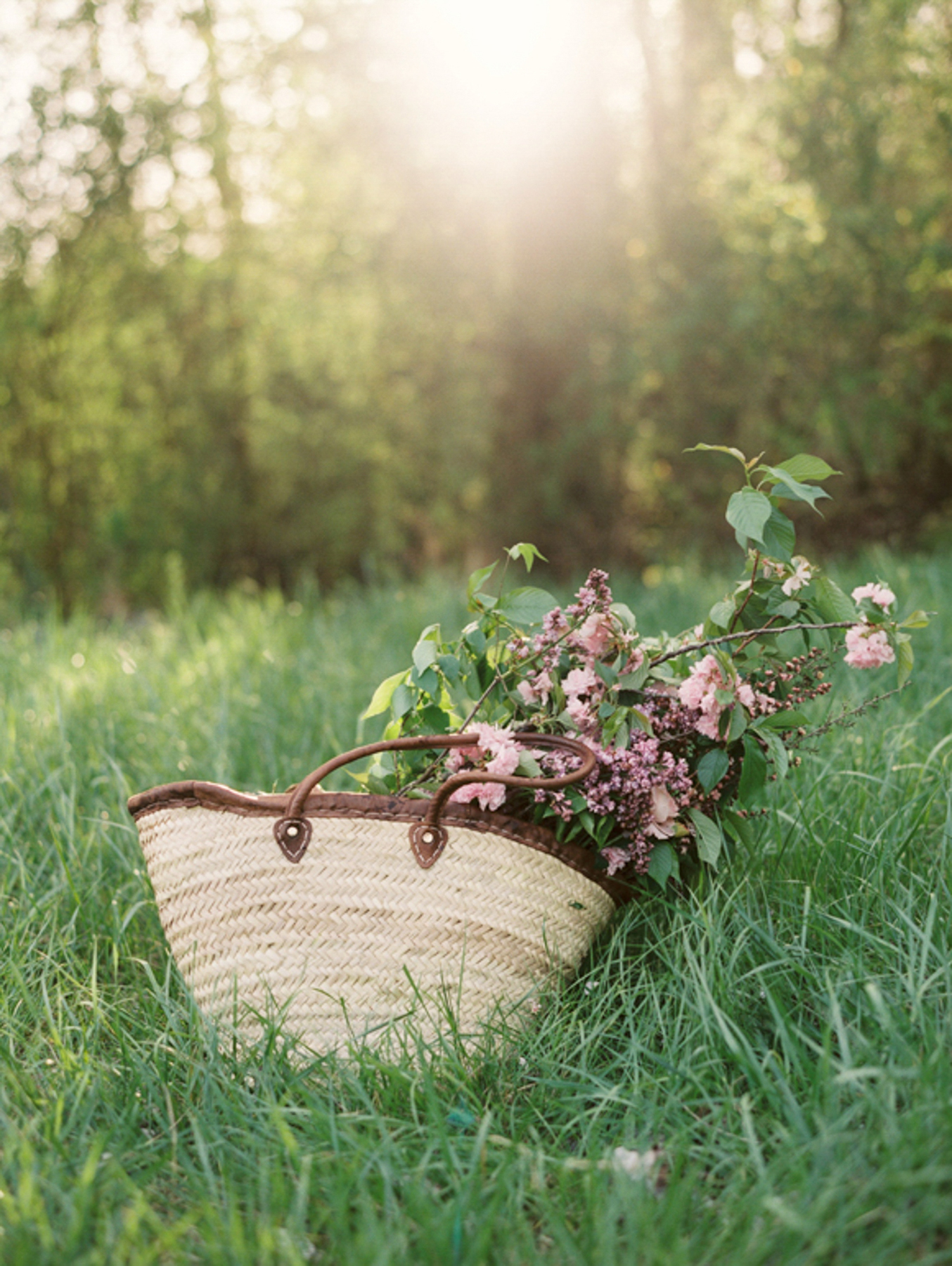 Elevae_23_0000001982