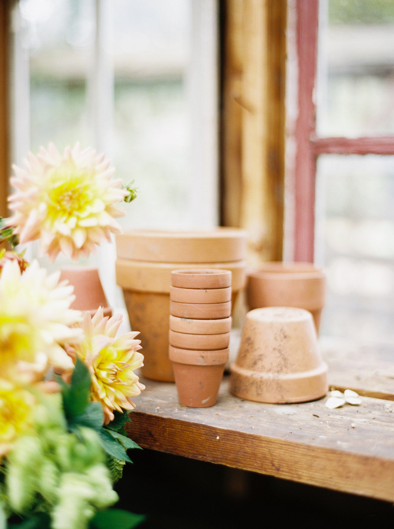 Elevae_23_0000001978