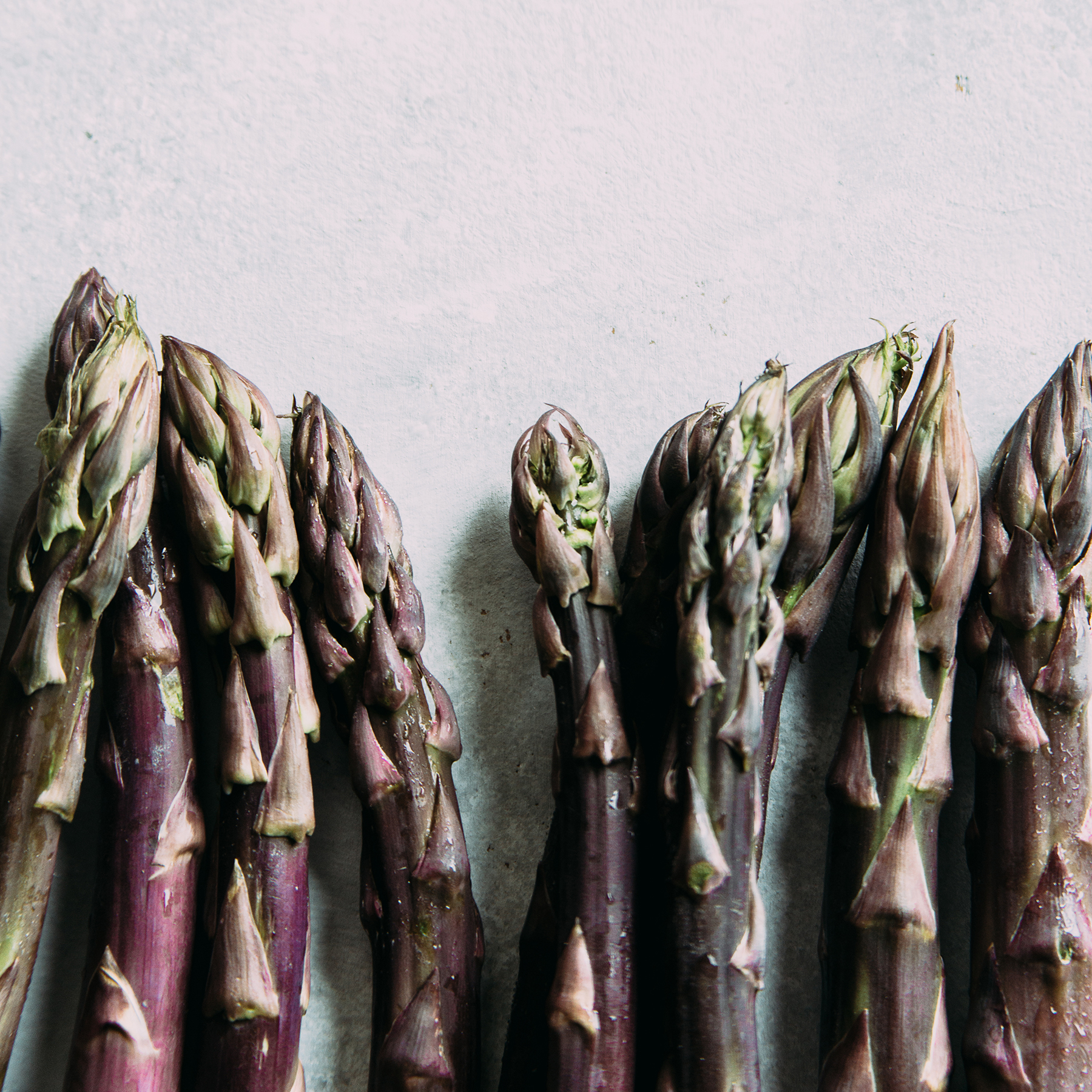 Elevae_23_0000001848