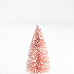 Elevae_23_0000001686