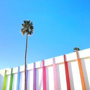 Elevae_23_0000001303