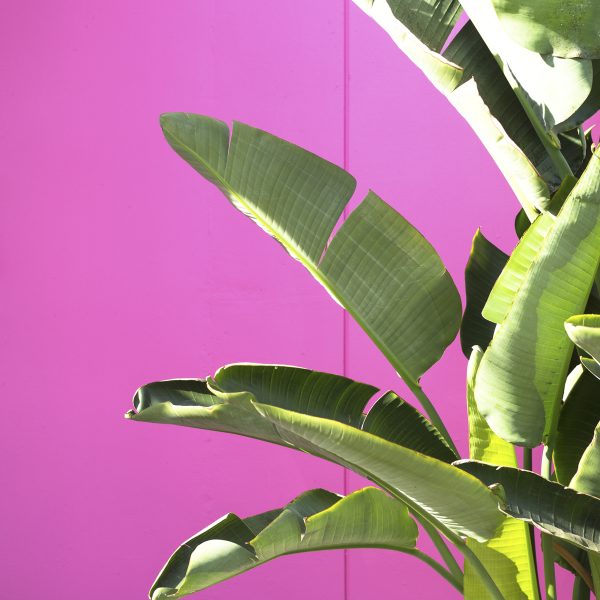 Elevae_23_0000001284
