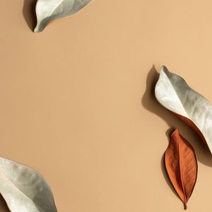 Elevae_23_000000622