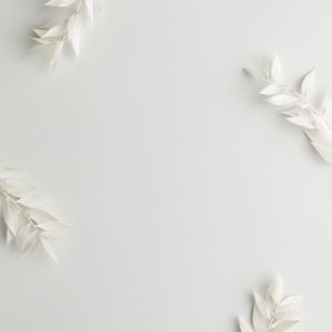 Elevae_23_000000613