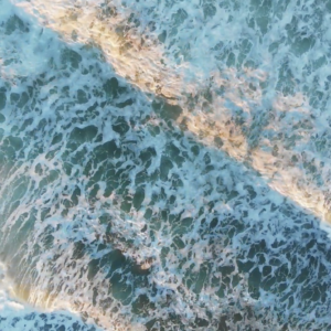 elevae_video_22_00150