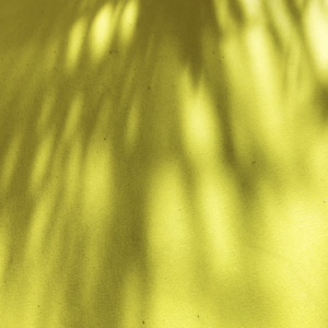 elevae_video_22_00147