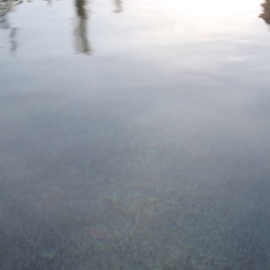 Elevae_0823_vids07246