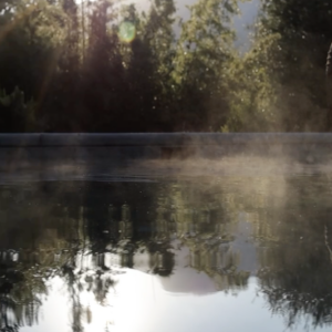 Elevae_0823_vids07253