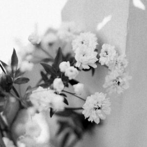 Elevae_0424_08268