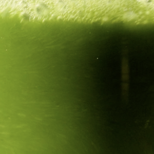 Elevae_0524_09037