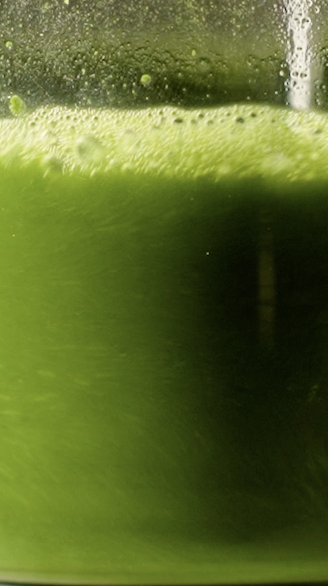 Elevae_0524_09037