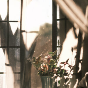 Elevae_0425_11104