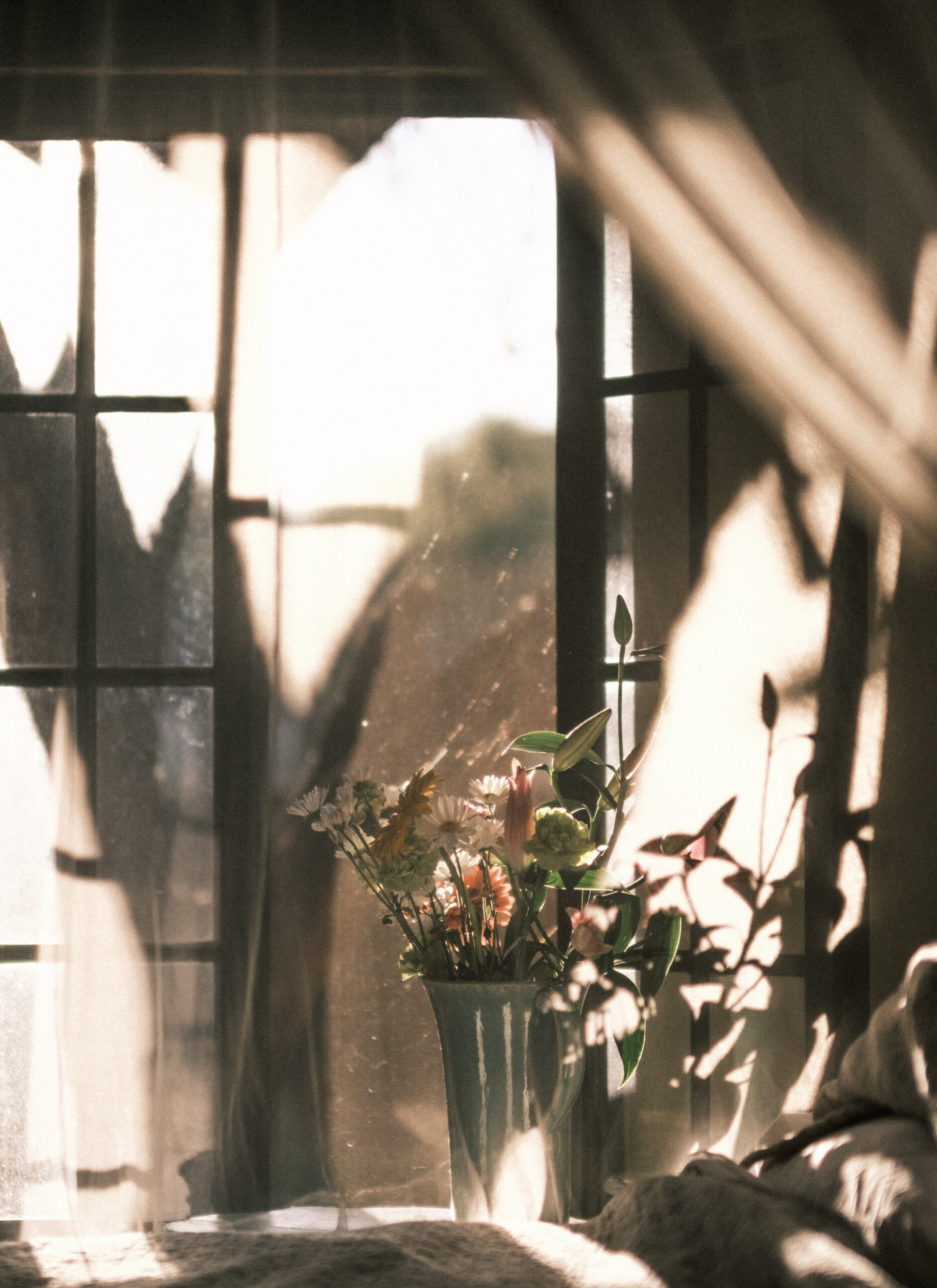 Elevae_0425_11104