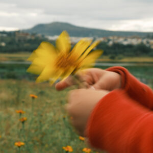 flower_final-2