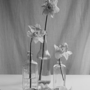 Elevae_0425_11095