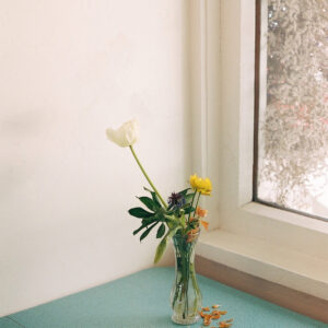 Elevae_0425_11047