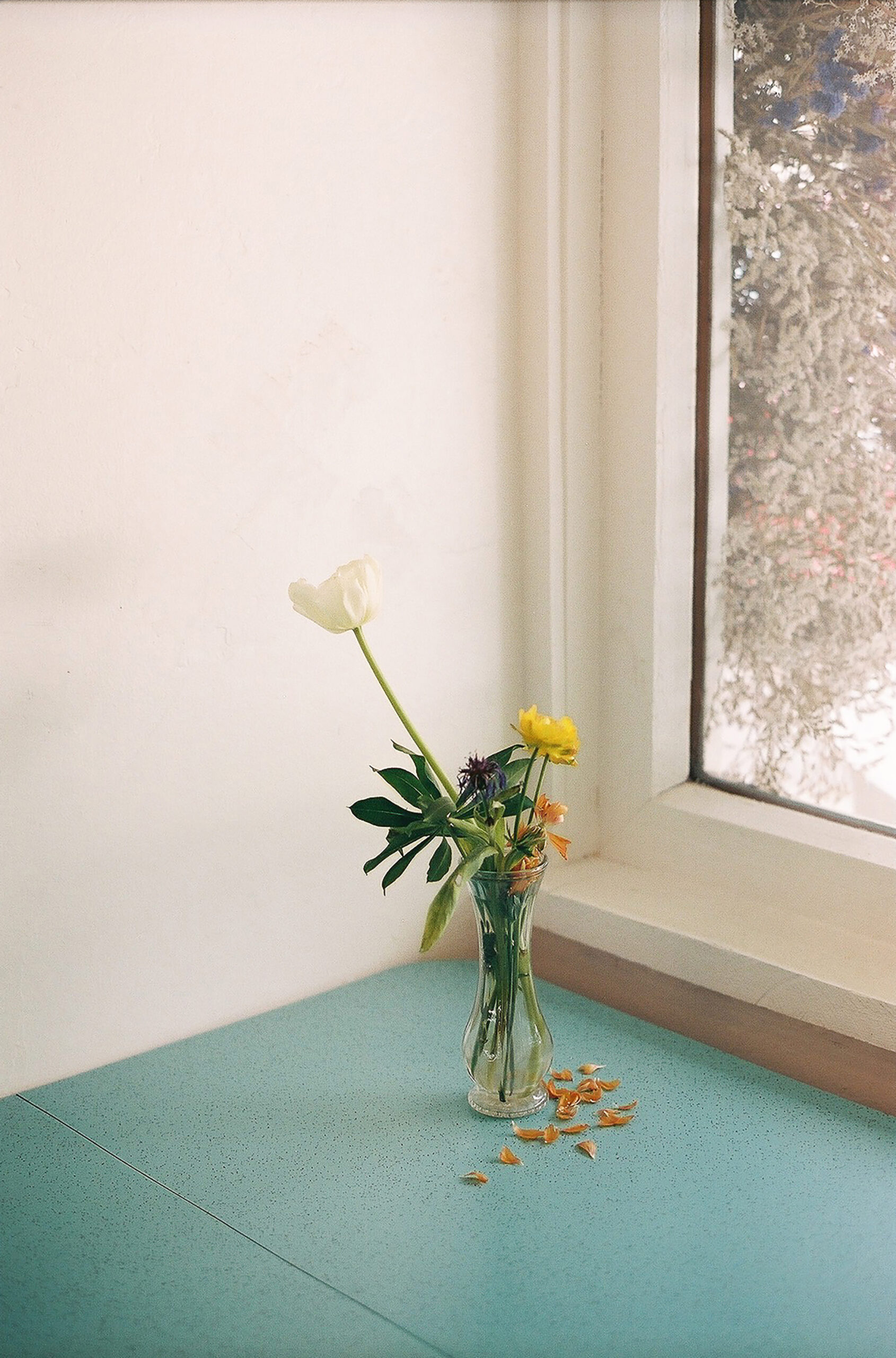 Elevae_0425_11047