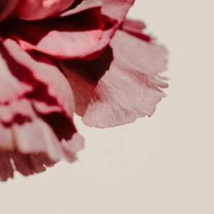 elevae_042511240