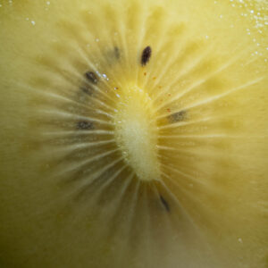 Elevae_0325_10965